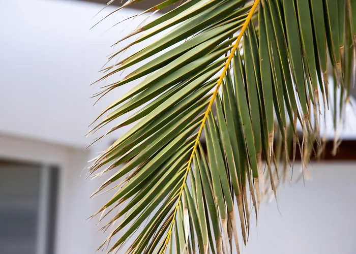 Modernes Und Helles Direkt Am Meer- Mit Zwei Grossen Terrassen- Garte By Interhome Nyaraló