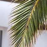 Modernes Und Helles Direkt Am Meer- Mit Zwei Grossen Terrassen- Garte By Interhome Сasa de vacaciones